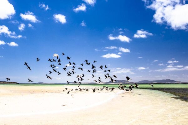 Coffin Bay National Park 2