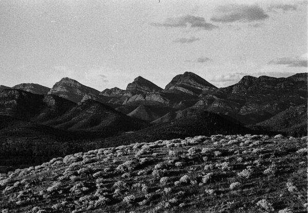 Wilpena Range at Sunset