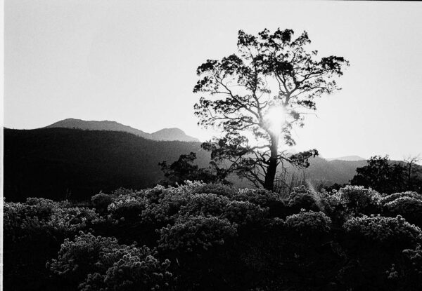 Wilpena Range at Sunrise